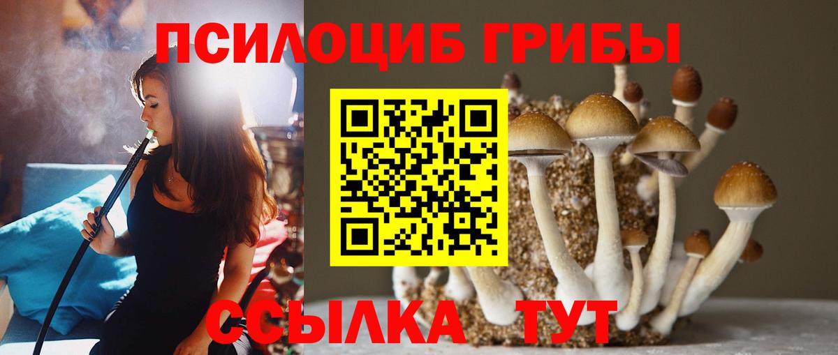 Заволжье  Галлюциногенные грибы прущие грибы  Псилоцибиновые грибы ЛСД  где продают   Вход с VPN 