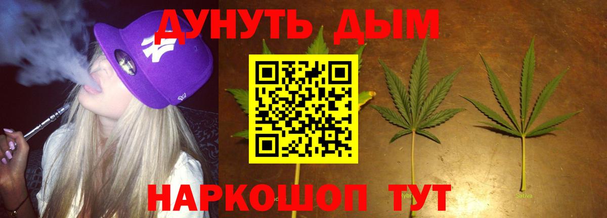 Конопля гибрид Заволжье